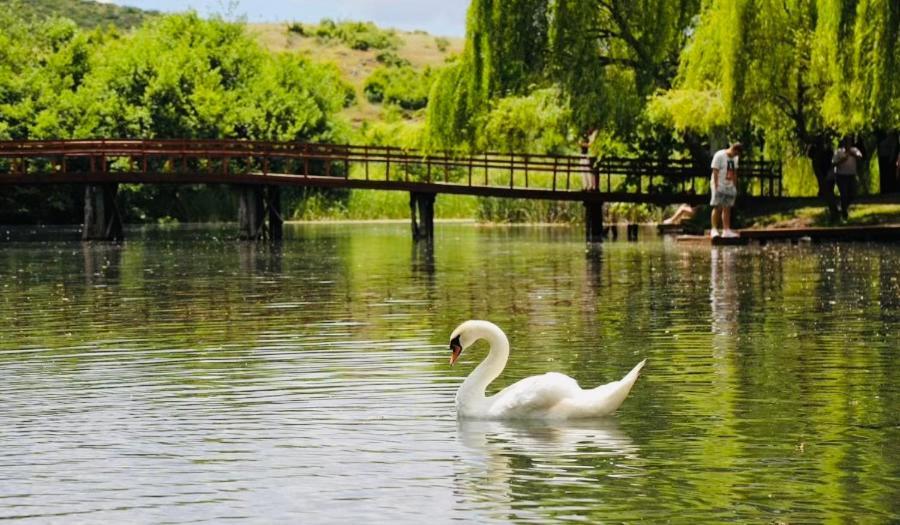 Apartamento Charming House Pogradec Exterior foto